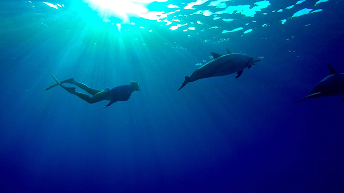 Snorkeling with dolphins on our women's retreat Hawaii