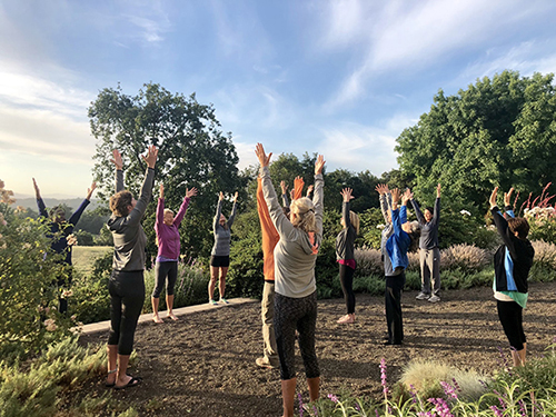Our morning yoga practices on our retreats in Sonoma.